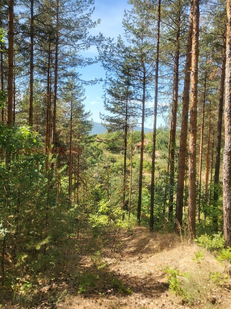 Продава ПАРЦЕЛ, с. Очуша, област София област, снимка 3 - Парцели - 52917207