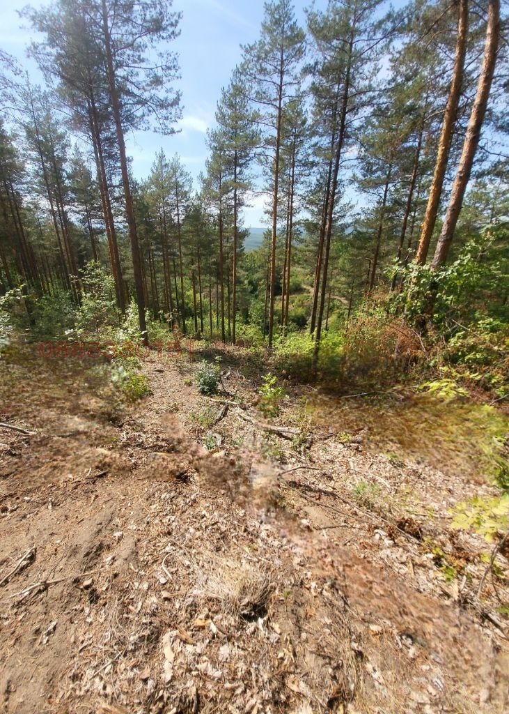 Продава ПАРЦЕЛ, с. Очуша, област София област, снимка 2 - Парцели - 52917207