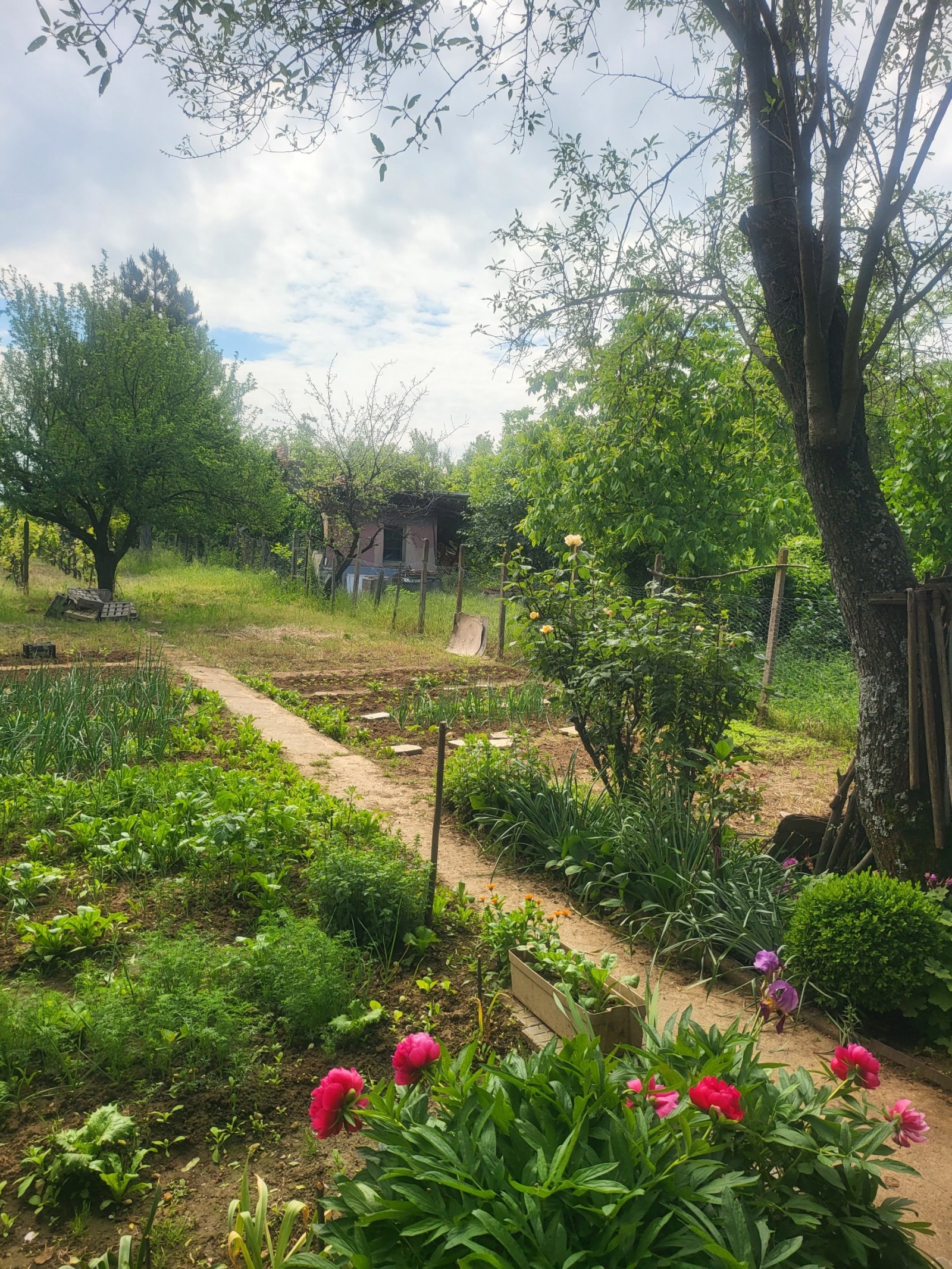 Продава КЪЩА, гр. Плевен, Широк център, снимка 17 - Къщи - 54677775