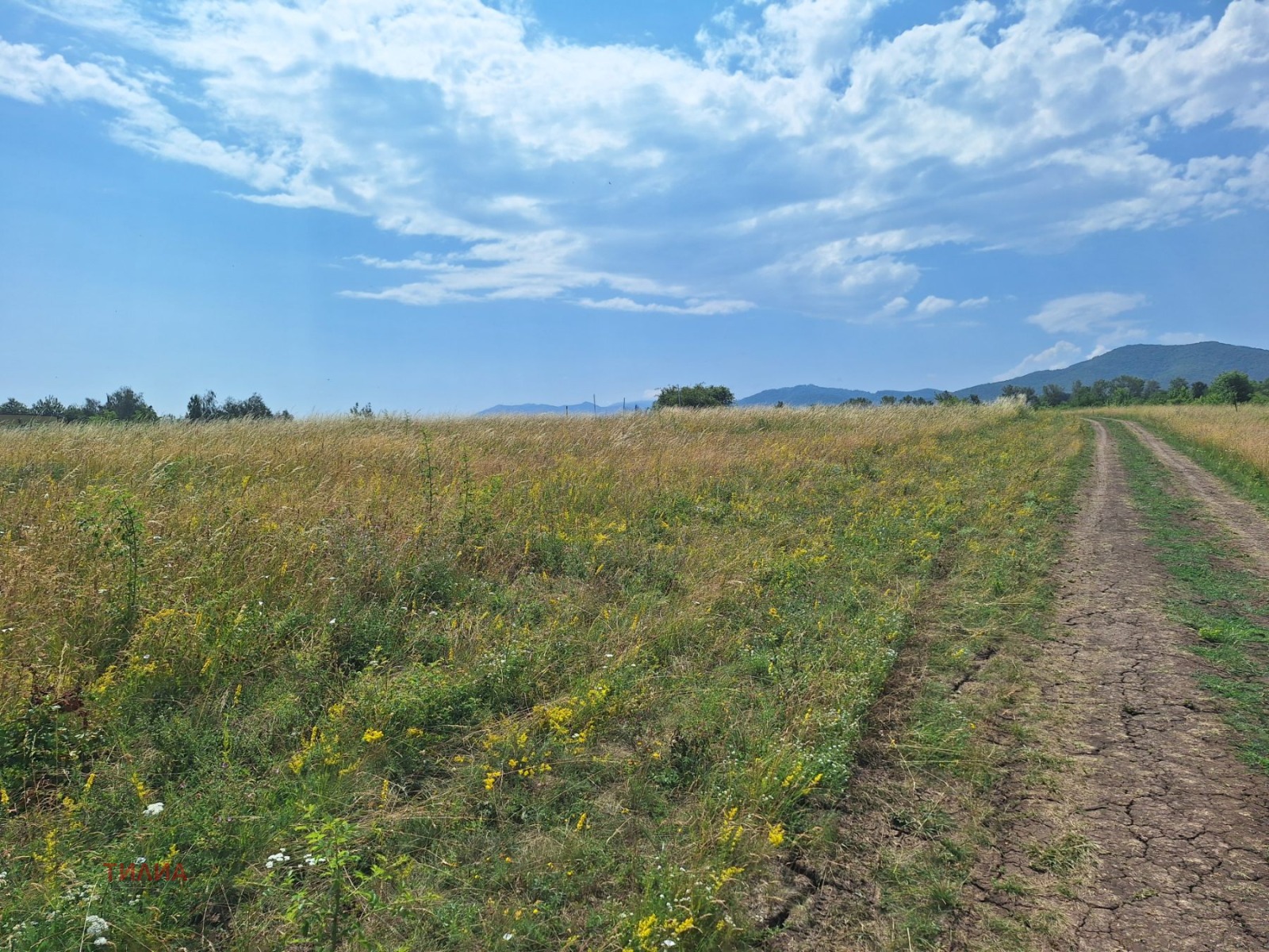 Продава ПАРЦЕЛ, гр. София, гр. Банкя, снимка 8 - Парцели - 54752948