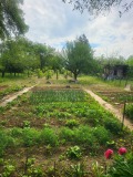 Продава КЪЩА, гр. Плевен, Широк център, снимка 16