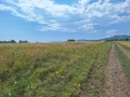 Продава  Парцел град София , гр. Банкя , 2024 кв.м | 10914525 - изображение [8]