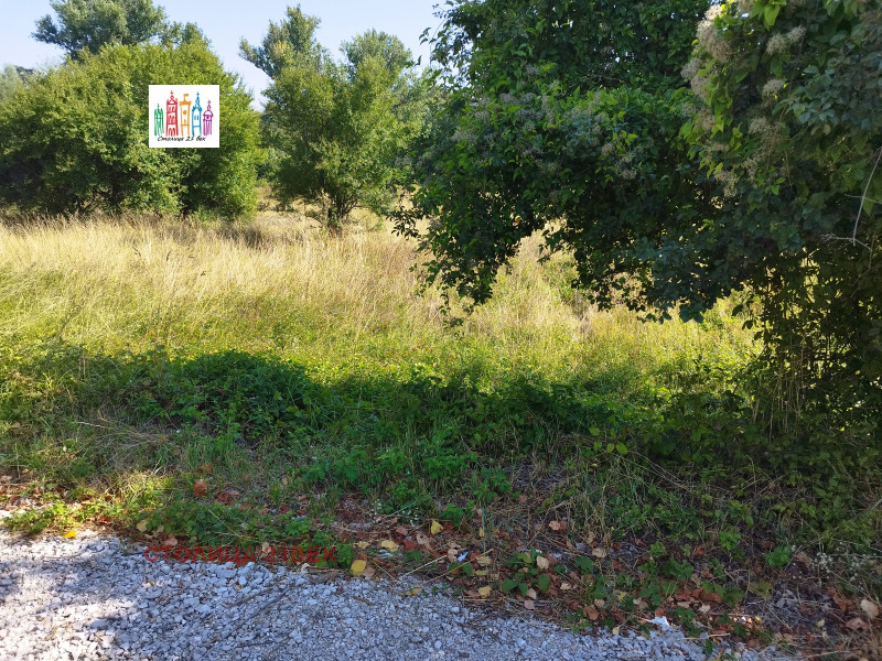 Продаја  Плот Софија , Марчаево , 3191 м2 | 76290560 - слика [4]