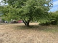 Продава ПАРЦЕЛ, област София, с. Лъга • 26500 € • 88777016 6