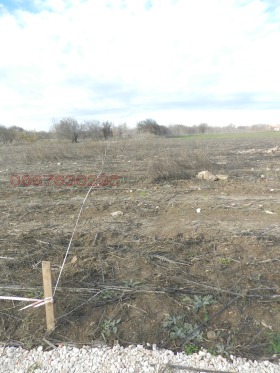 ������� ������ | Imot.bg � ����� ������ 5