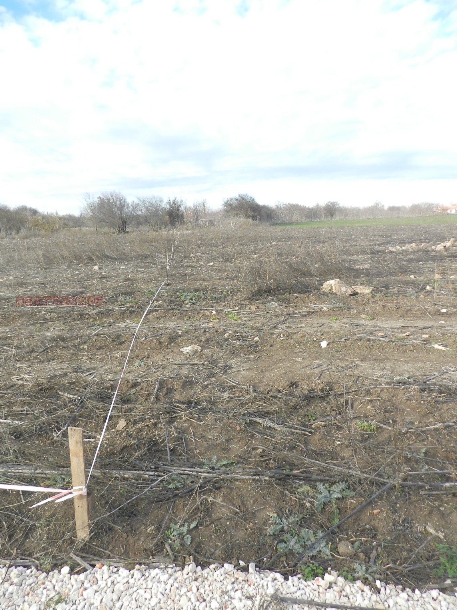 Продава ПАРЦЕЛ, с. Езерец, област Добрич, снимка 4 - Парцели - 53311376