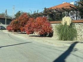 Dům Karlovo, oblast Plovdiv 15