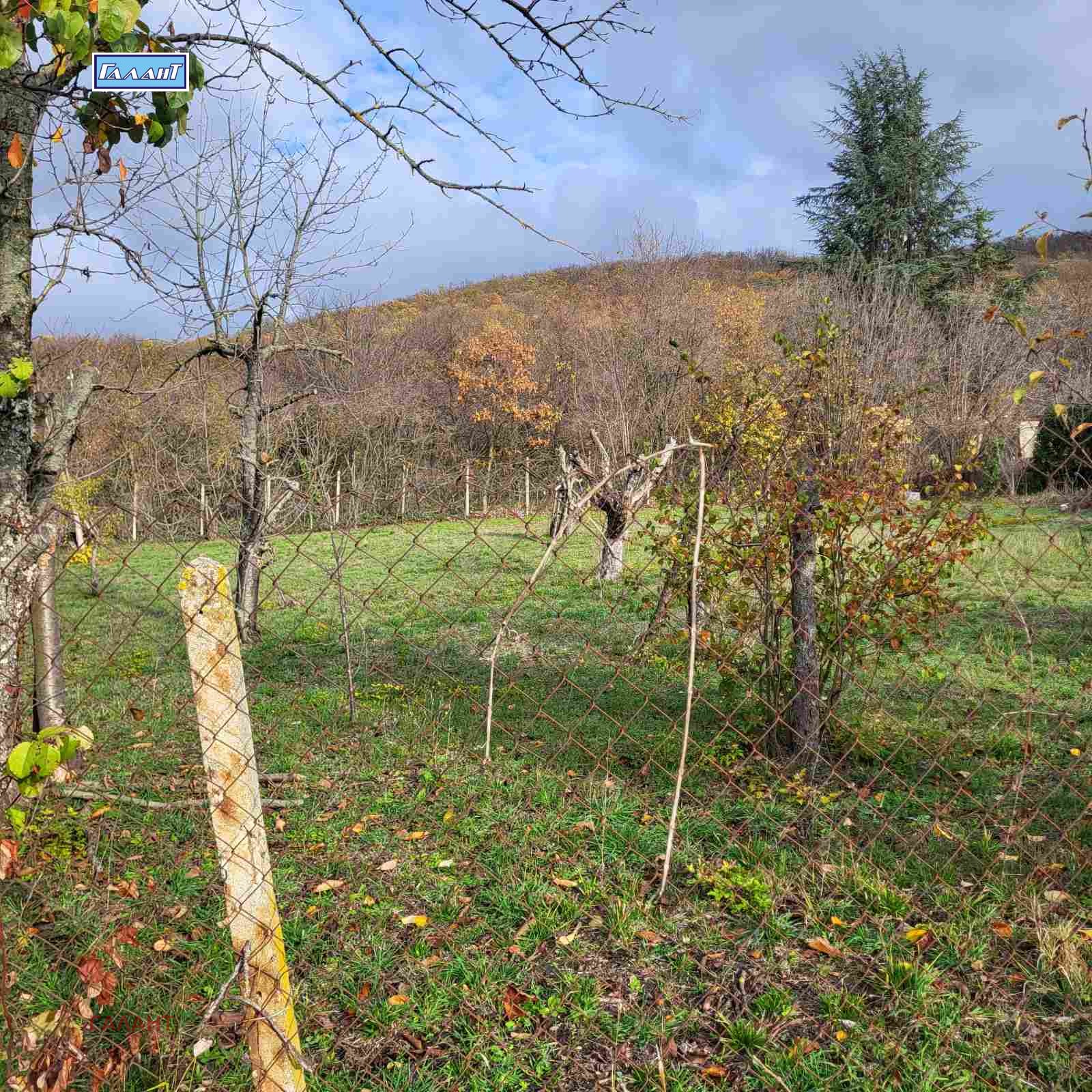 ������� ������ | Imot.bg � ����������� 1