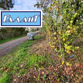 ����� ������� ������,�. ��������, ������ �����