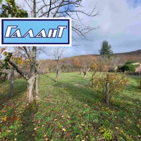 ����� ������� ������,�. ��������, ������ �����