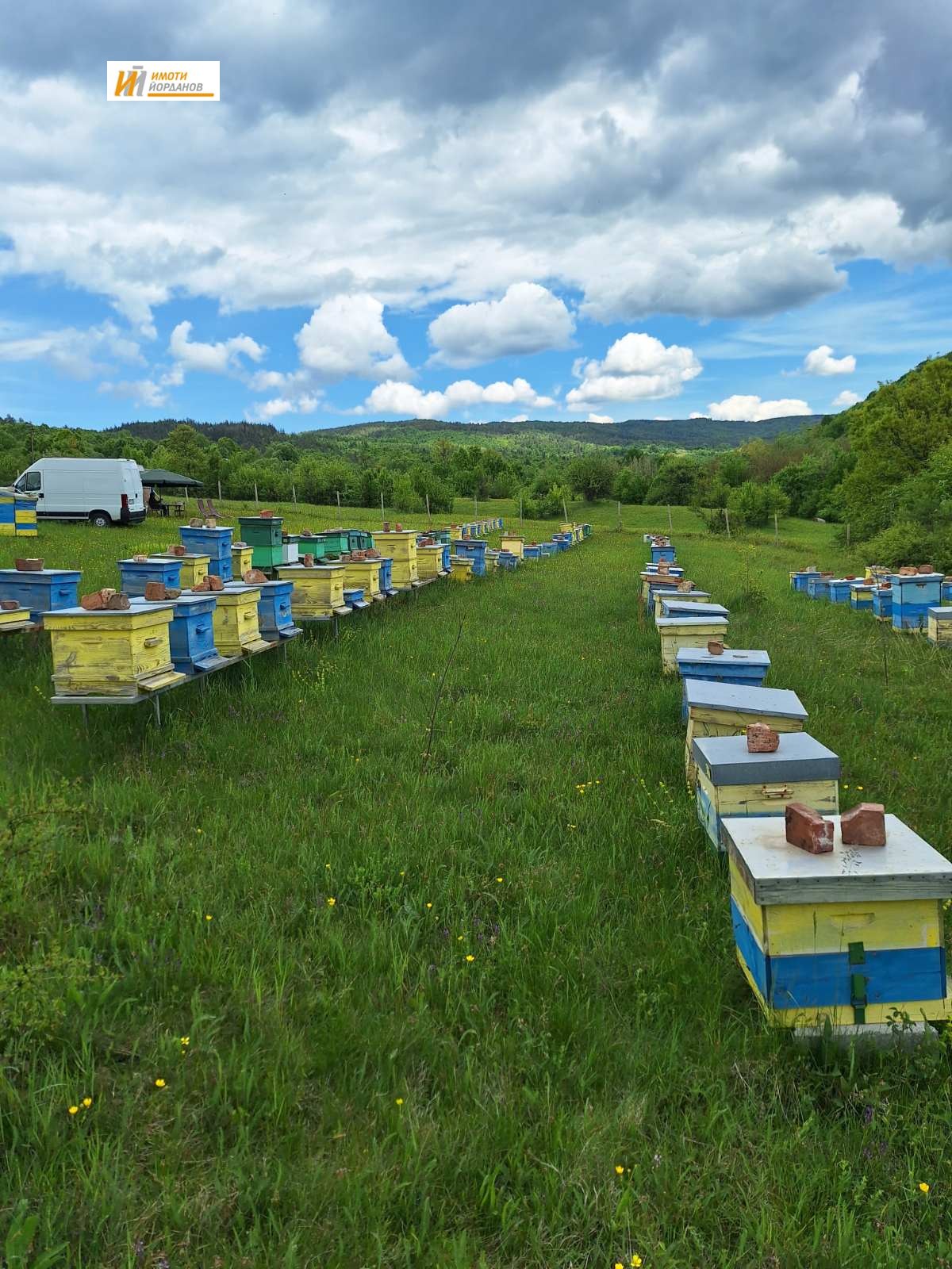 Продава ПАРЦЕЛ, с. Войнежа, област Велико Търново, снимка 2 - Парцели - 55750034