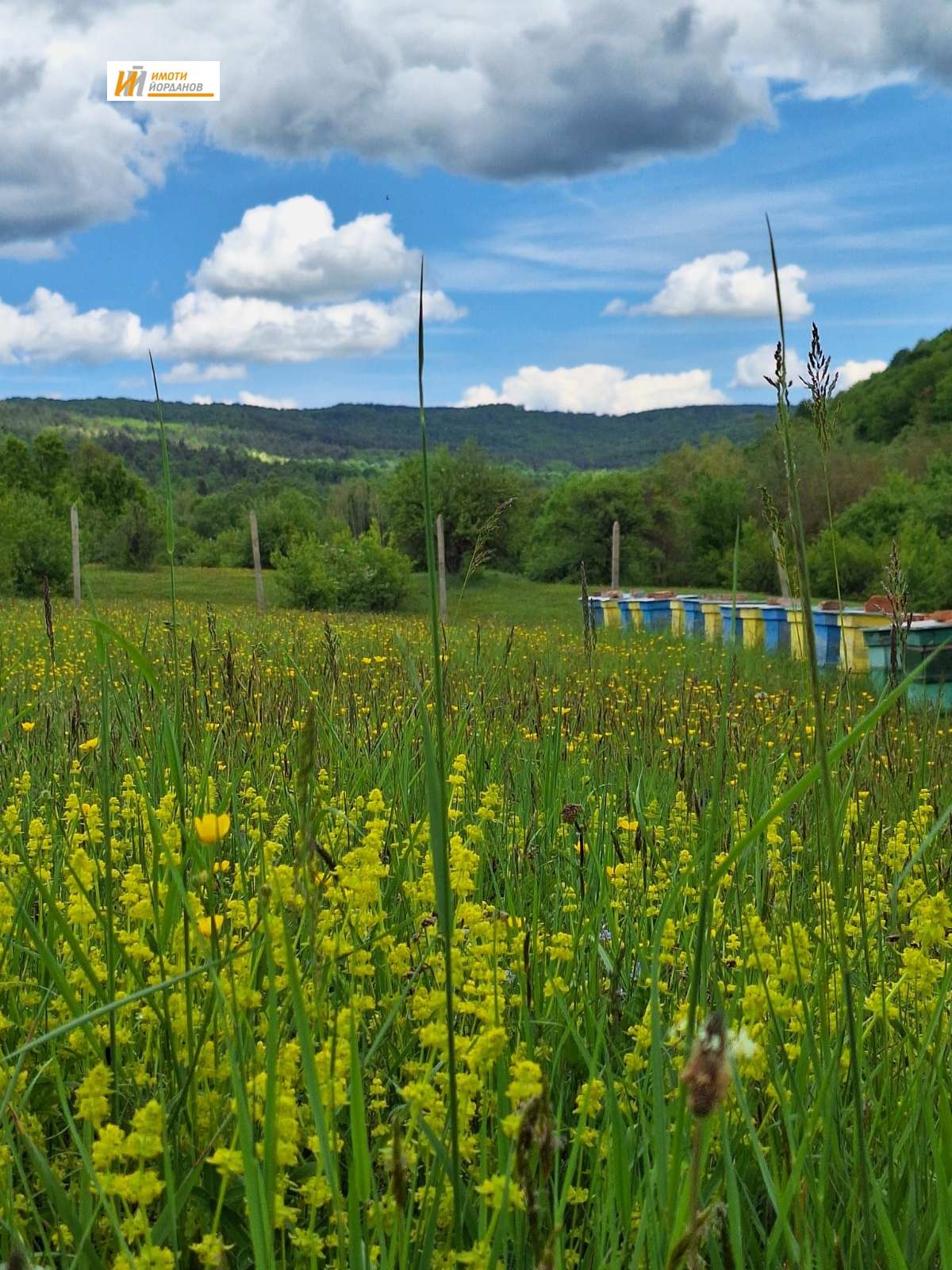 Продава ПАРЦЕЛ, с. Войнежа, област Велико Търново