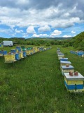 Продава ПАРЦЕЛ, с. Войнежа, област Велико Търново, снимка 2