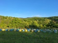 Продава ПАРЦЕЛ, с. Войнежа, област Велико Търново, снимка 3
