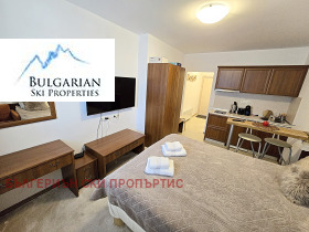 Studio Bansko, region Blagoevgrad 2