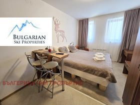 Studio Bansko, region Blagoevgrad 5