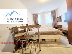 Studio Bansko, region Blagoevgrad 4