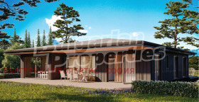 ����� ������� ������,�. ���� ���, ������ �����