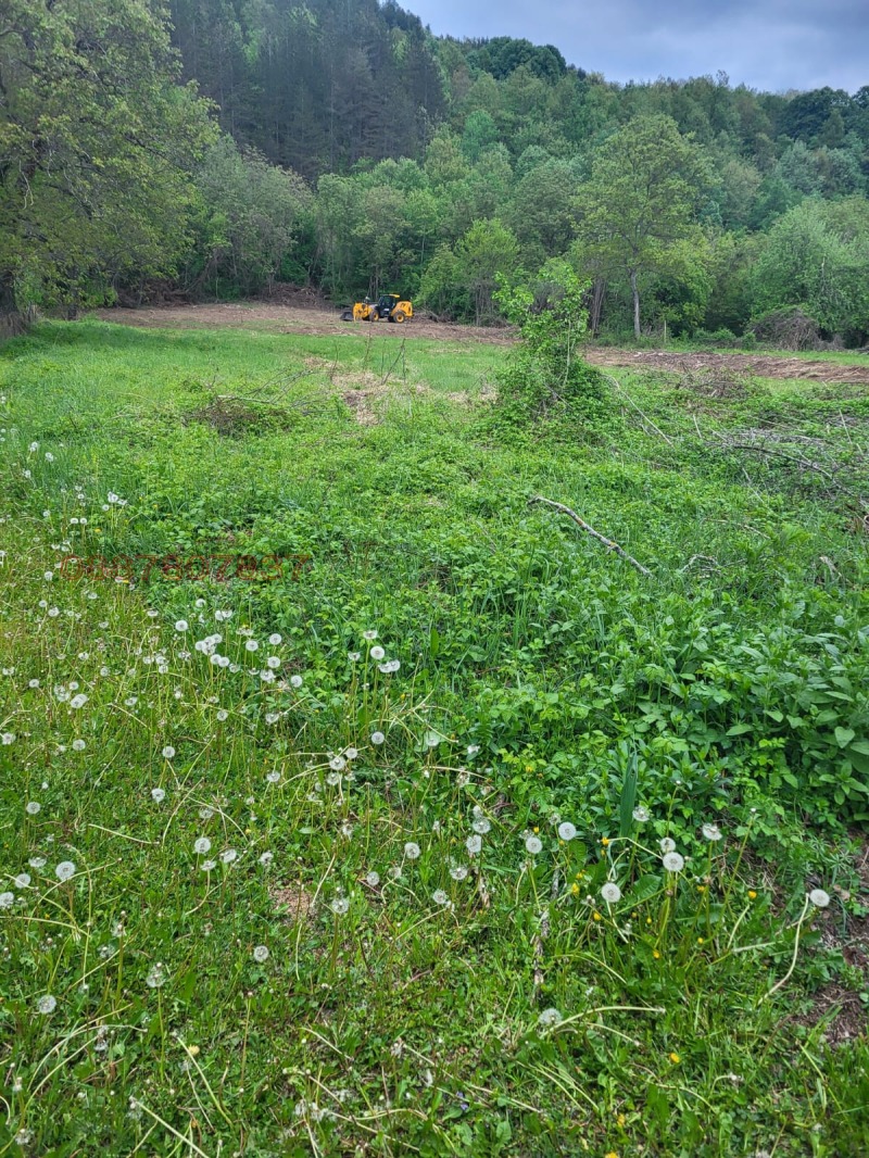 Продава ПАРЦЕЛ, с. Скандалото, област Ловеч