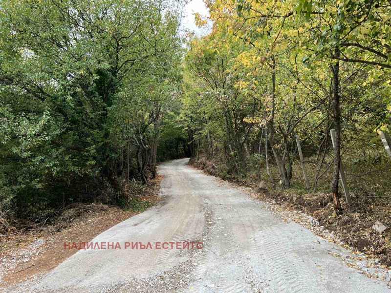 Na prodej  Spiknutí Sofia , v.z.Černija kos , 618 m2 | 20840557 - obraz [14]