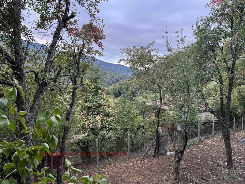Na prodej  Spiknutí Sofia , v.z.Černija kos , 618 m2 | 20840557 - obraz [3]