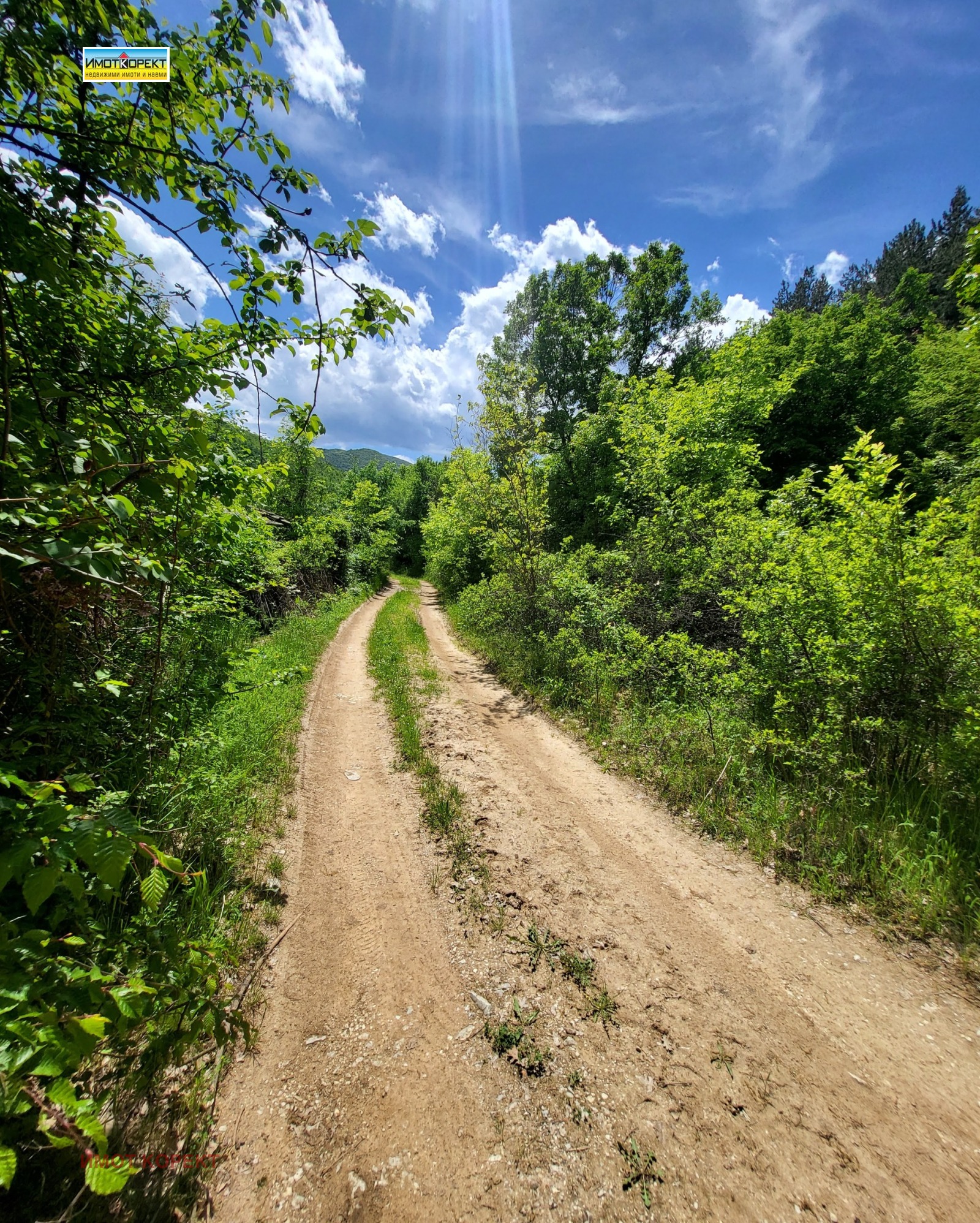 Продава ПАРЦЕЛ, гр. Белово, област Пазарджик, снимка 11 - Парцели - 54567408