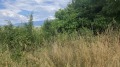 Продава ПАРЦЕЛ, гр. Перник, Калкас, снимка 4
