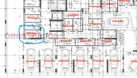 ����� ������� �����,���� ������, ��������