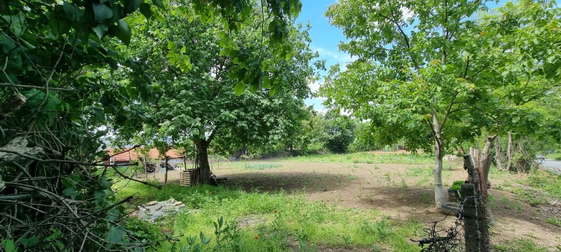 For Sale  Plot Razgrad , Promishlena zona - Zapad , 1844 sq.m | 11730082 - image [7]