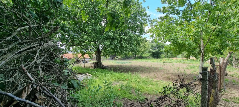 For Sale  Plot Razgrad , Promishlena zona - Zapad , 1844 sq.m | 11730082 - image [8]