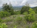 Продава ЗЕМЕДЕЛСКА ЗЕМЯ, с. Шишковци, област Кюстендил, снимка 7