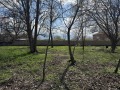 Продава ПАРЦЕЛ, област Пловдив, с. Ягодово • 130000 € • 13544663 — Holmes.bg