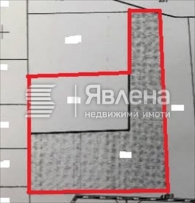 ������ ������� ������