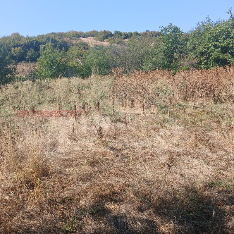 Продава ПАРЦЕЛ, с. Гарваново, област Хасково, снимка 3 - Парцели - 52781941