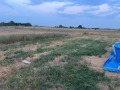 Продава  Парцел област Стара Загора , с. Пшеничево , 1369 кв.м | 86206509 - изображение [2]