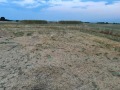Продава  Парцел област Стара Загора , с. Пшеничево , 1369 кв.м | 86206509 - изображение [3]