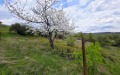 Продава  Парцел област Перник , с. Долна Диканя , 500 кв.м | 22464717 - изображение [2]