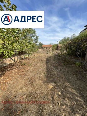 ������� ���� | Imot.bg � ����� ������ 12