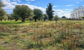������� ������ | Imot.bg � ����� ������ 10