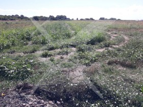 Parcelle Aheloi, région Bourgas