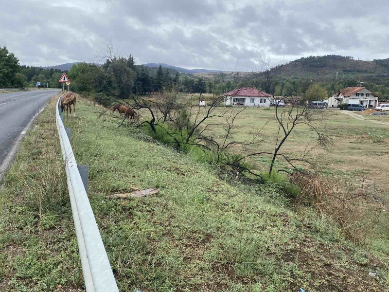 Zu verkaufen  Handlung region Plowdiw , Banja , 1900 qm | 88018427