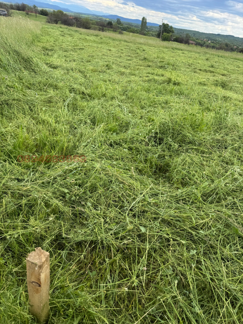 Продава ЗЕМЕДЕЛСКА ЗЕМЯ, с. Слокощица, област Кюстендил, снимка 6 - Земеделска земя - 52826836