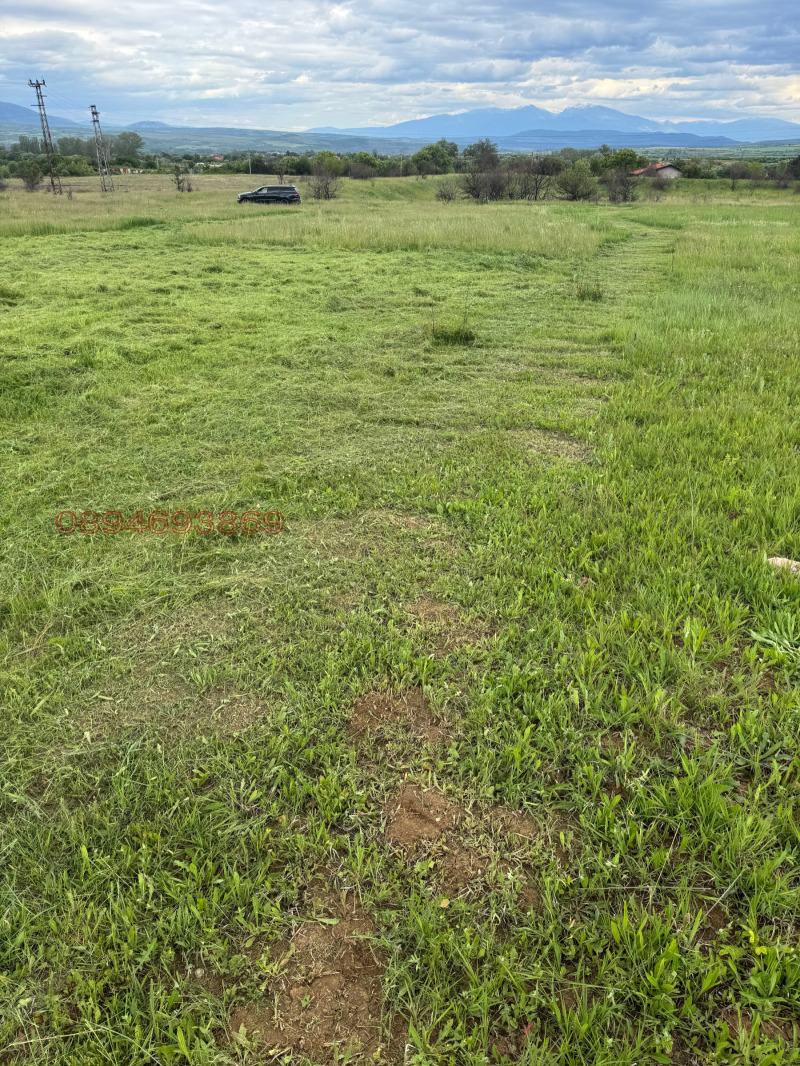 Продава ЗЕМЕДЕЛСКА ЗЕМЯ, с. Слокощица, област Кюстендил, снимка 3 - Земеделска земя - 52826836