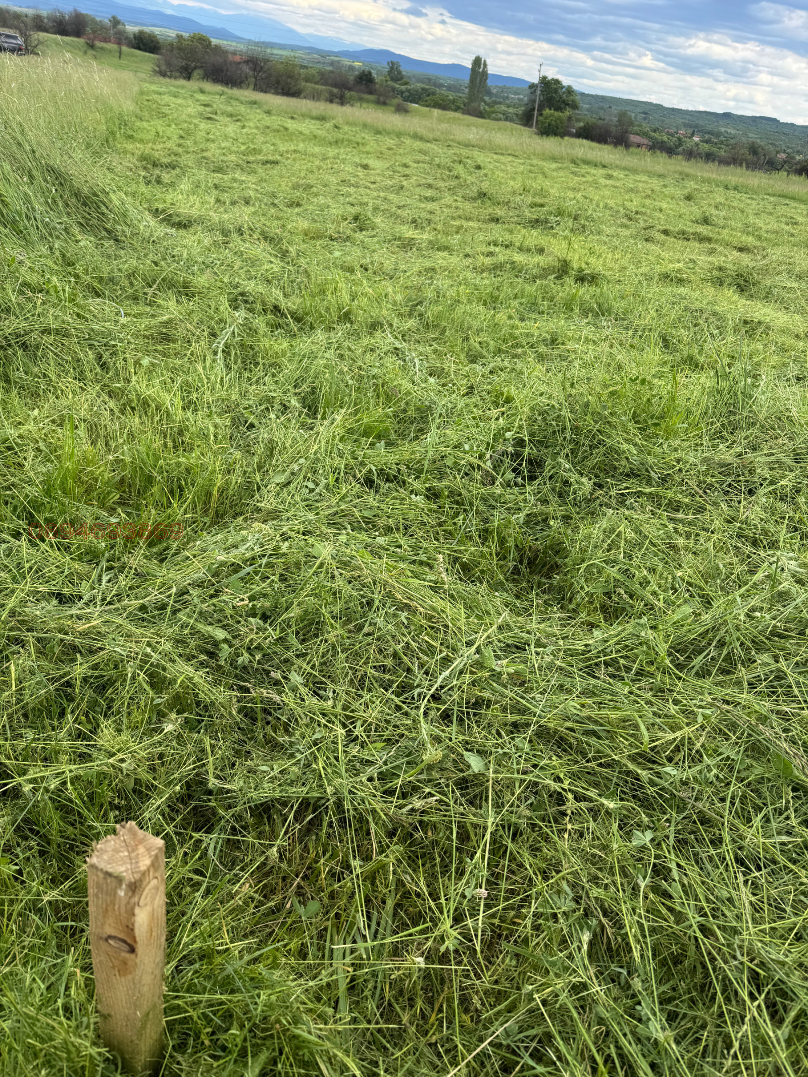 Продава ЗЕМЕДЕЛСКА ЗЕМЯ, с. Слокощица, област Кюстендил, снимка 6 - Земеделска земя - 53921699