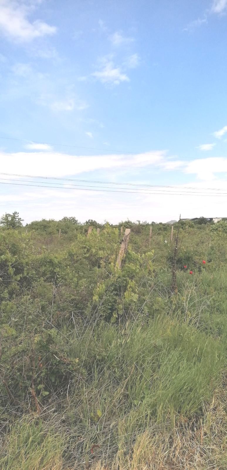 ������� ���������� ���� | Imot.bg � ����������� 3