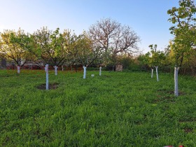 ������� ���� | Imot.bg � ����� ������ 5