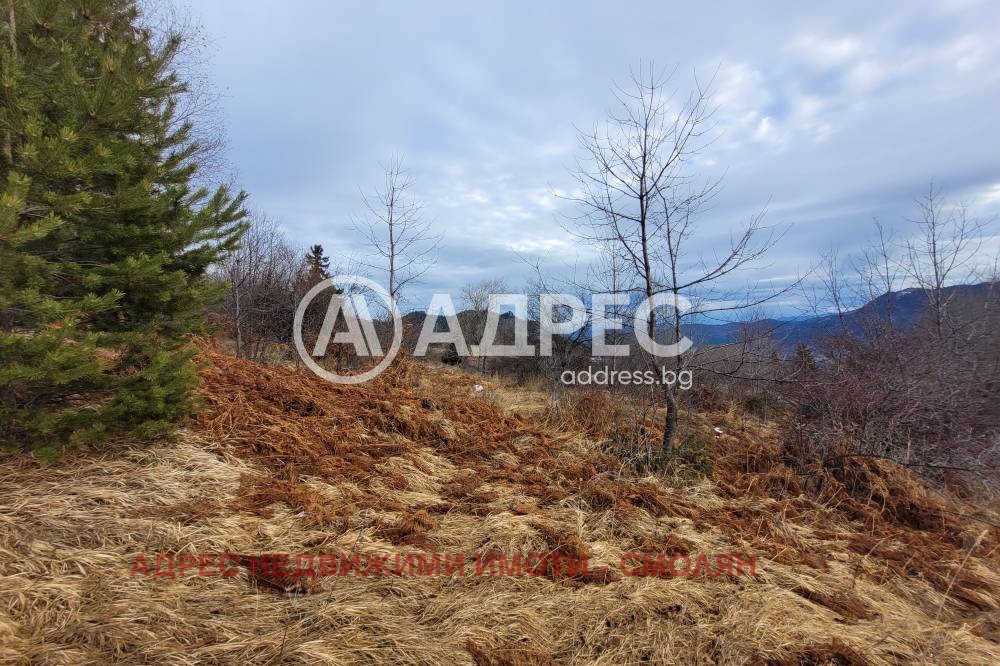 ������� ������ | Imot.bg � ����������� 10