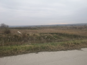 ������ ������� ������