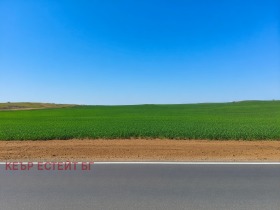 ����� ������� ���������� ����,��. ������, ������ ������