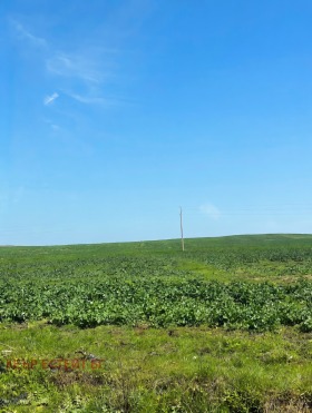 ����� ������� ���������� ����,��. ������, ������ ������